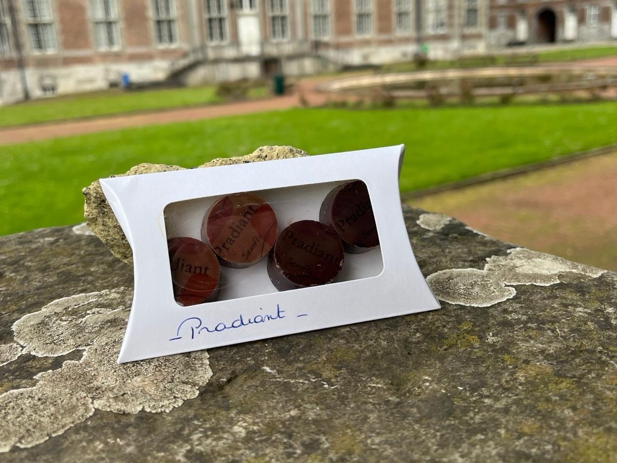 Boîte de 4 pralines